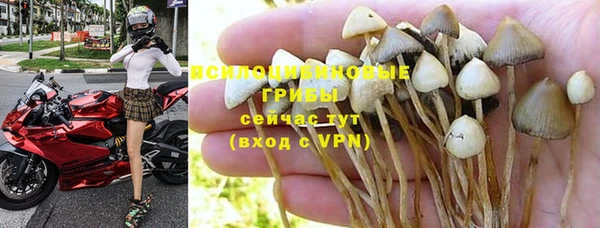 круглые Волосово