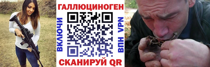 Псилоцибиновые грибы Cubensis  продажа наркотиков  Осташков 